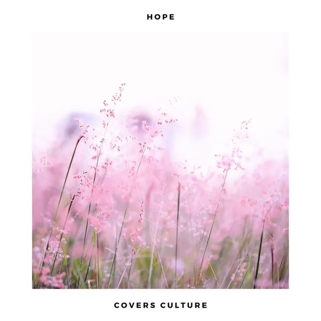 Hope (Acoustic Covers Versions of Popular Songs)