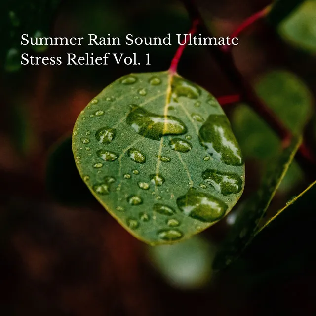 Summer Rain Sound Ultimate Stress Relief Vol. 1