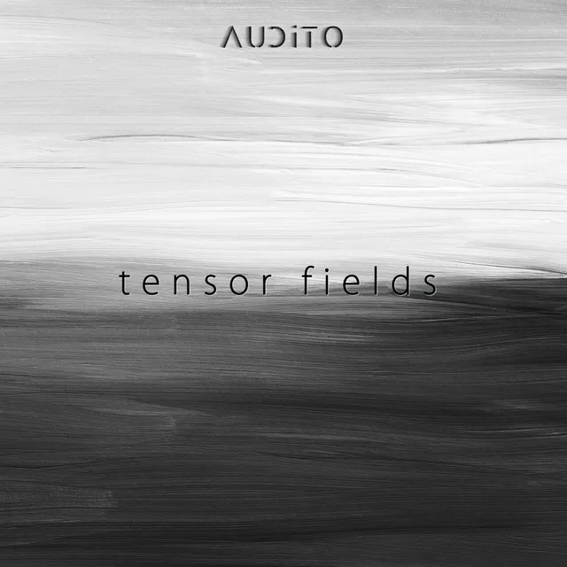 Tensor Field IV