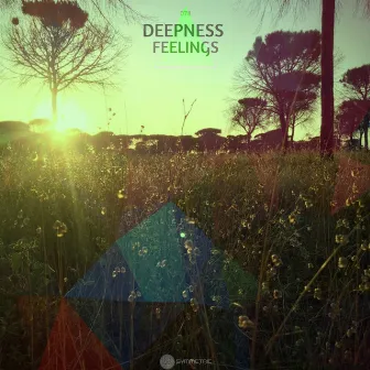 Feelings by Deepness