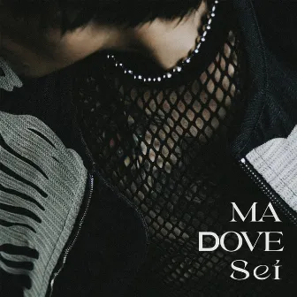 Ma Dove Sei by Nova