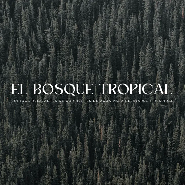 El Bosque Tropical: Sonidos Relajantes De Corrientes De Agua Para Relajarse Y Respirar