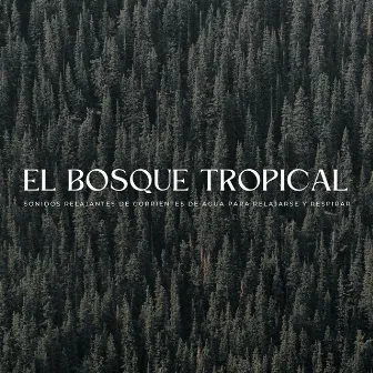 El Bosque Tropical: Sonidos Relajantes De Corrientes De Agua Para Relajarse Y Respirar by Aves del bosque sueco