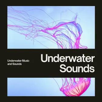 Underwater Sounds Without Getting Wet by Nature Lab