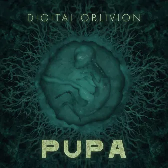 Pupa by The Digital Christ