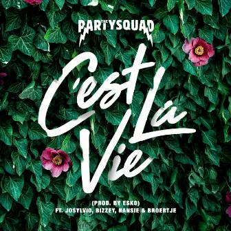 C'est la vie by The Partysquad