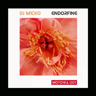 Endorfine by Dj M1cko