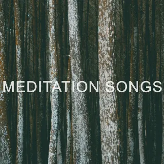 Music for stress relief by Meditation Songs