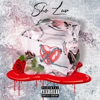 Sho Luv by Vinny Circs