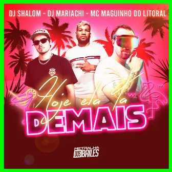 Hoje Ela Tá Demais by DJ Shalom