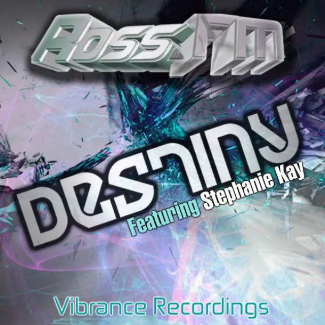 Destiny (feat. Stephanie Kay) - CShay Remix