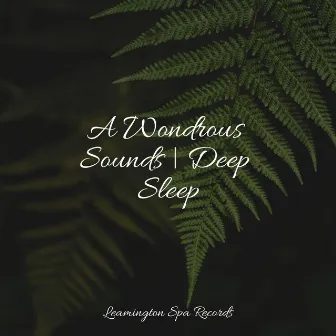 A Wondrous Sounds | Deep Sleep by Unknown Artist