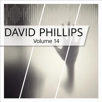 David Phillips, Vol. 14 by David Phillips