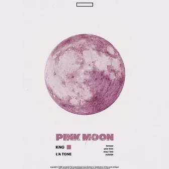 Pink Moon by 