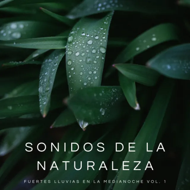 Sonidos De La Naturaleza: Fuertes Lluvias En La Medianoche Vol. 1