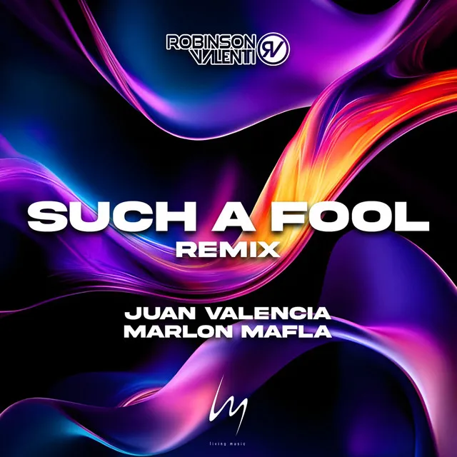 Such A Fool - Remix