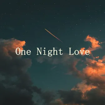 One Night Love by Lofi Sad