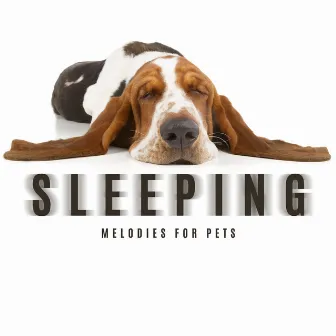 Sleeping Melodies for Pets by Pets Lover Artist