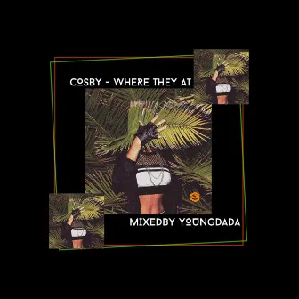 Where They At (Studio Version) by Carlos Cosby