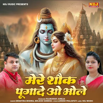 Mere Shouk Pugade O Bhole by Brijesh Sorkha