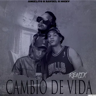 Cambio de Vida (Remix) by Raydel