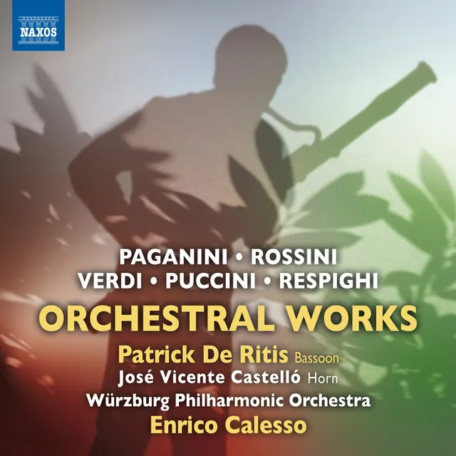 Bassoon Concerto: III. Rondo: Allegretto