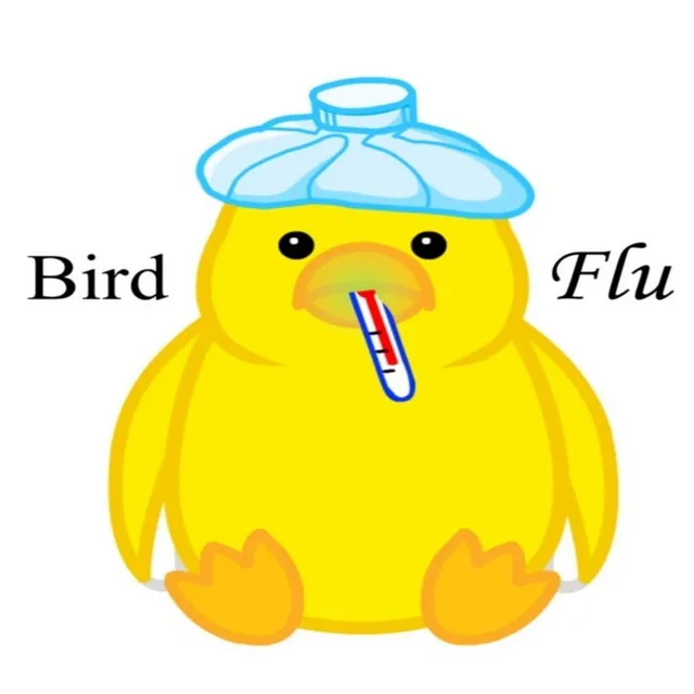 Bird Flu