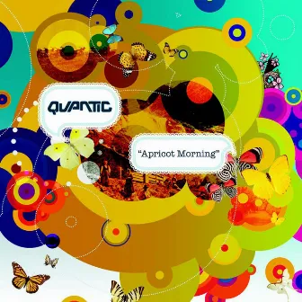 Apricot Morning by Quantic