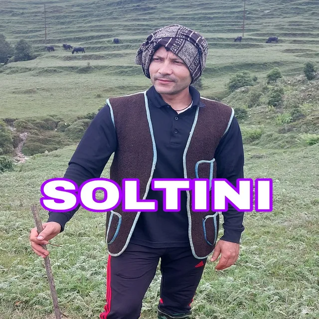 Soltini