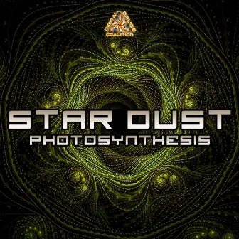 Photosynthesis by Star Dust