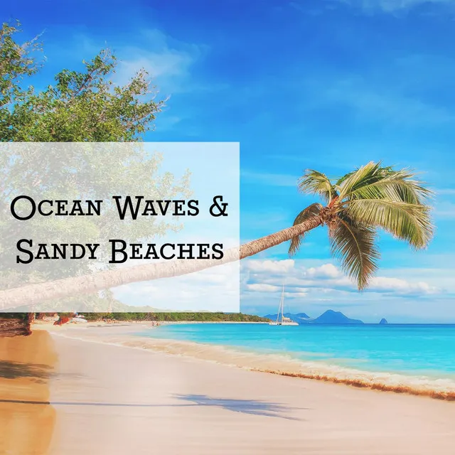 Ocean Waves and Sandy Beaches