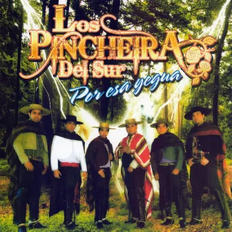 Por esa yegua by Los Pincheira del Sur