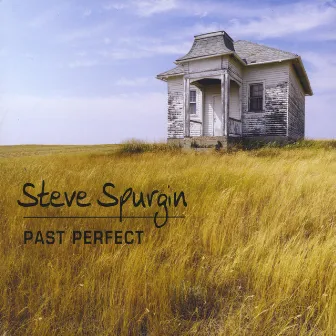 Past Perfect by Steve Spurgin