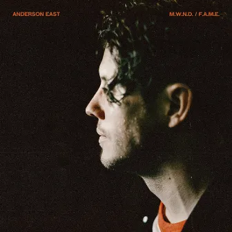 Lights On (F.A.M.E.) by Anderson East