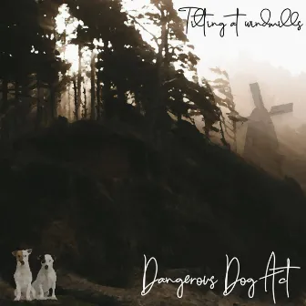 Tilting at Windmills by Dangerous Dog Act