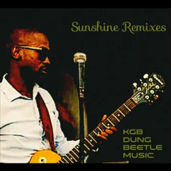 Sunshine Remixes by Dung Beetle Music