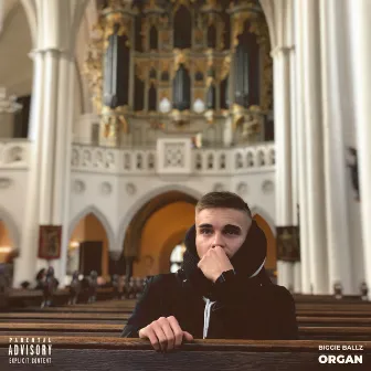 Organ by Biggie Ballz