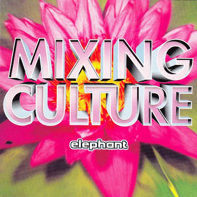 Mixing Culture - Twin Radio Mix