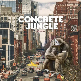 Concrete Jungle by Spijk