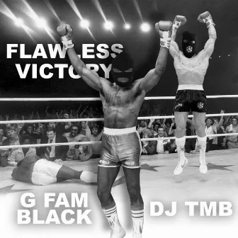 Flawless Victory by DJ TMB