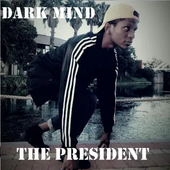 The President by Dark Mind