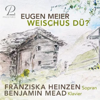 Eugen Meier: Weischus dü? by Franziska Andrea Heinzen