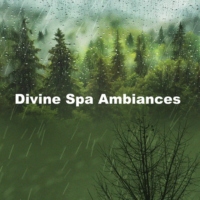 Divine Spa Ambiances