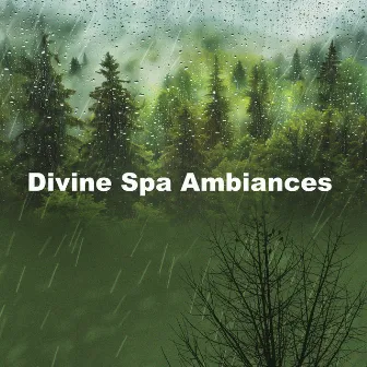 Divine Spa Ambiances by Spa Waves