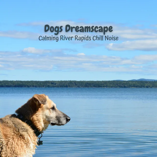 Dogs Dreamscape: Calming River Rapids Chill Noise