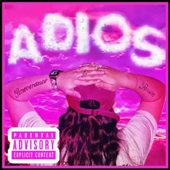 Adios by Lady Pun