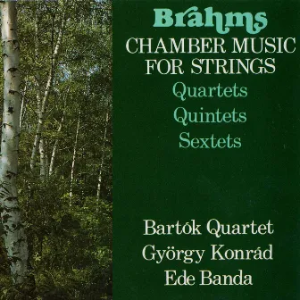 Brahms: Chamber Music for Strings by György Konrád