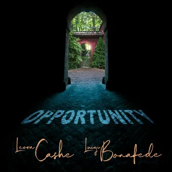 Opportunity by Luigi Bonafede