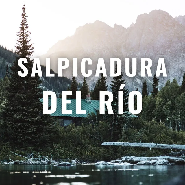 Salpicadura Del Río