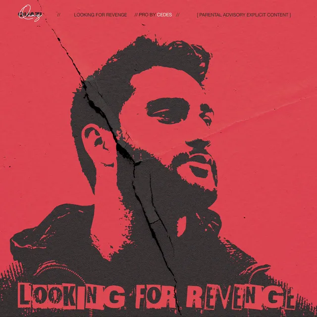 Looking For Revenge